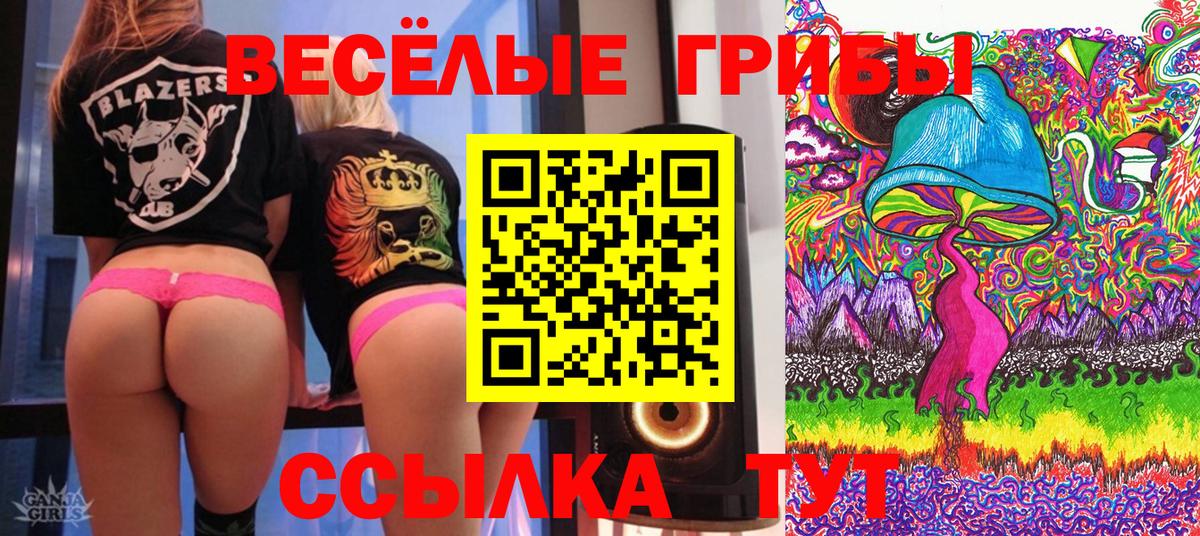 цена   Псилоцибиновые грибы мухоморы  Вход с VPN  Каменск-Шахтинский  Галлюциногенные грибы Psilocybe 